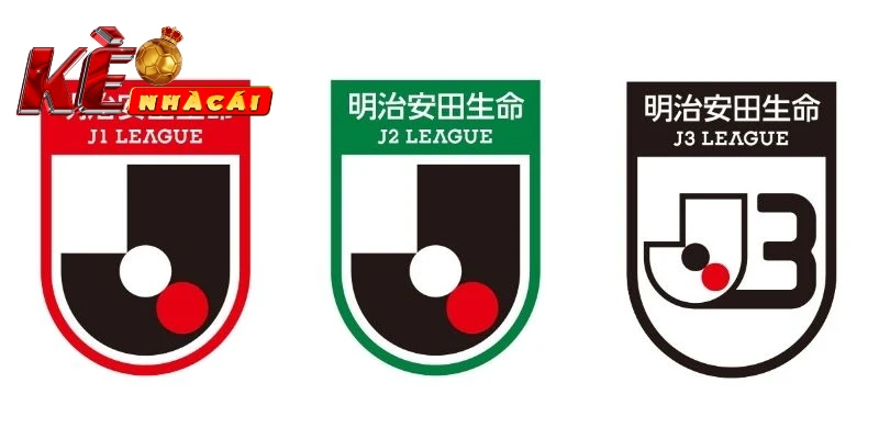 Một số giải đấu thuộc giải bóng đá Nhật Bản