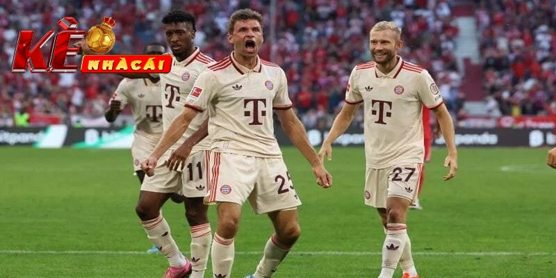 Tìm hiểu về lịch sử Kèo bóng đá VĐQG Đức