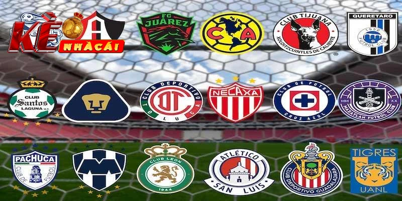 Những yếu tố ta cần phải chú ý khi soi kèo bóng đá VĐQG Mexico