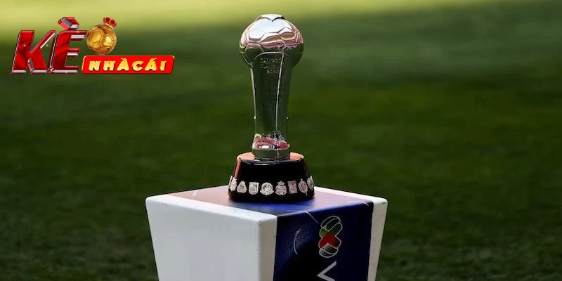 Yếu tố bên ngoài gây ảnh hưởng tới kèo bóng đá VĐQG Mexico