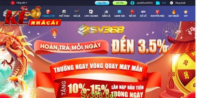 Những loại hình cá cược tiêu biểu tại SV368